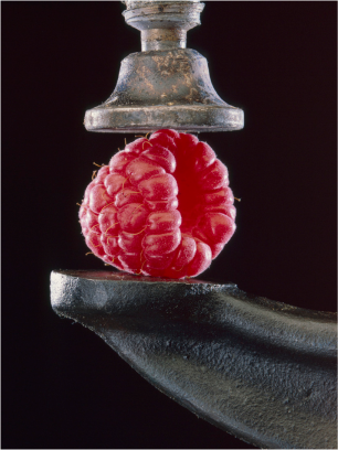 Beerenstark Smoothie