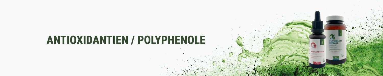 Antioxidantien / Polyphenole