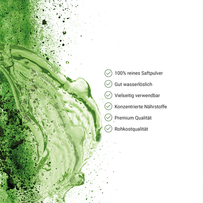 Poudre de jus d'herbe d'orge biologique 