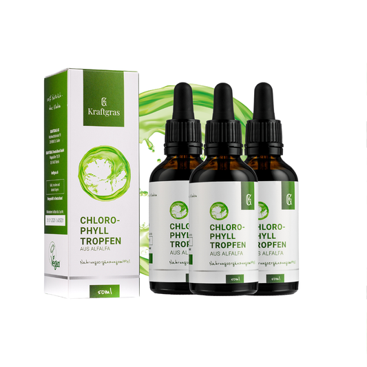 Chlorophylltropfen aus Alfalfa (3er Set)
