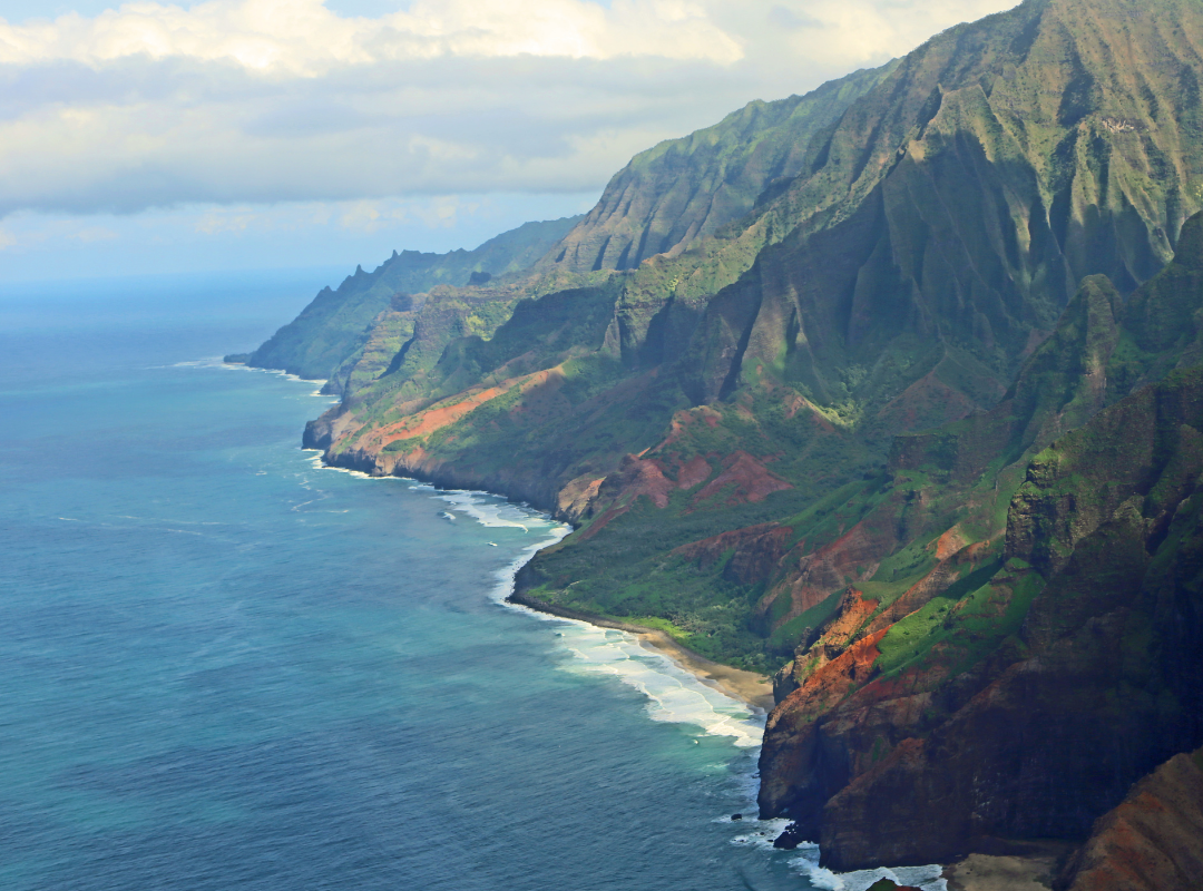 Hawaii Produkt Spirulina